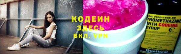 соль ск Ладушкин