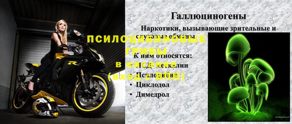 соль ск Ладушкин