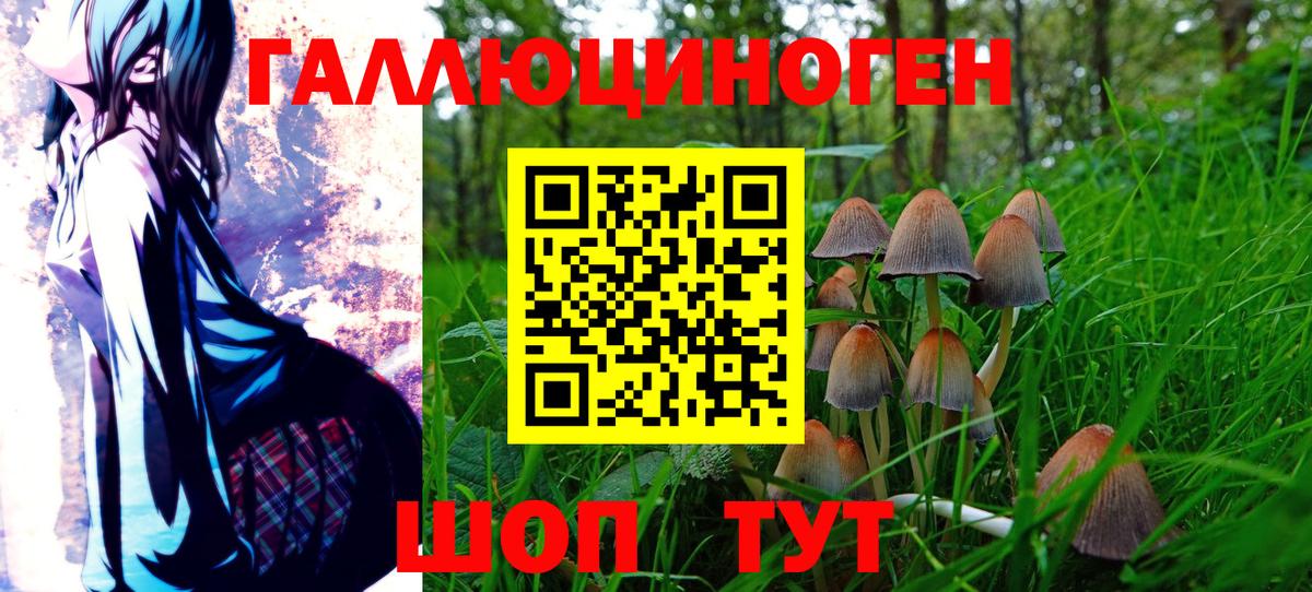 Усолье-Сибирское  Галлюциногенные грибы прущие грибы  Вход с VPN 